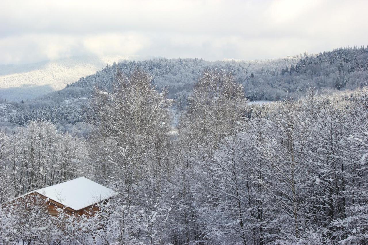 Domaine De Ribeaugoutte Villa Saint-Nabord Buitenkant foto